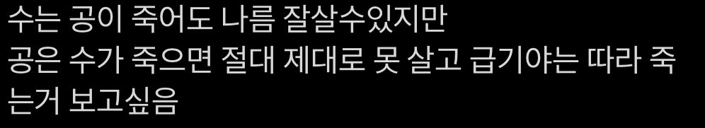 wjswpffl's tweet photo. 면땃으로 주실분 https://t.co/nIAPIc2XKM