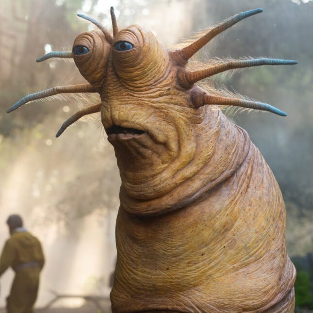 Kyua_Eclair's tweet photo. There was one good thing to come out of Rise of Skywalker and it was Klaud https://t.co/8GUOxXnPkw