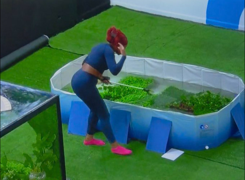 pemisire57315's tweet photo. Sheba no come this house to play at all! 😭 The competitiveness is top tier. My energy queen! Join us before it’s too late. ❤️ #BBNaija #Shebangs https://t.co/SmkGS6V0rX