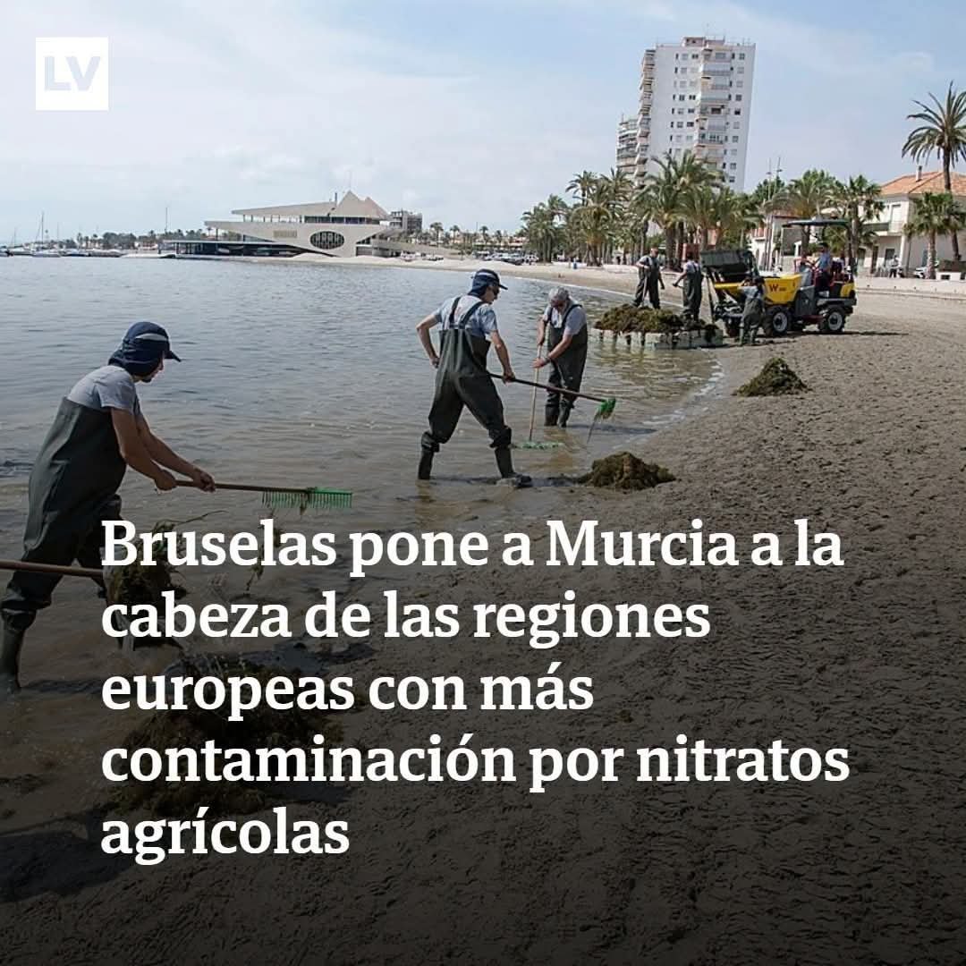 NuestroMarMenor's tweet photo. La Unión Europea regaña a Región de Murcia por su desproporcionada contaminación por nitrato ¡Una brutalidad!

¿Por qué no se explica esto a la población y se quiere mentir echando balones fuera con que si el acuífero tal o cuál?

No somos tontos, la contaminación no llega sola. https://t.co/aQFp3GXFzU