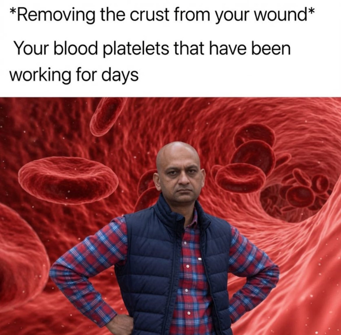 Science Is Fun tweet media