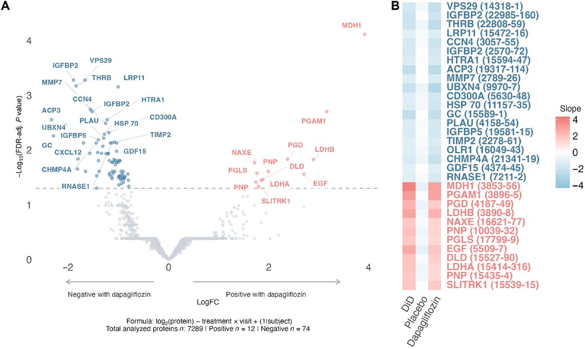 ScienceMagazine's tweet photo. An in-depth @ScienceTM analysis of a phase 3 trial of youths with type 1 #diabetes combines RNA seq, kidney MRI, and proteomics to probe how the SGLT2 inhibitor dapagliflozin counteracts the hallmarks of diabetic kidney disease. https://t.co/xP9kEF4hQE https://t.co/yuf8anq637