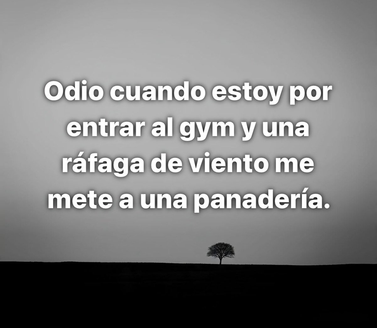 SoyGordoFeliz's tweet photo. https://t.co/TadTYMudaP