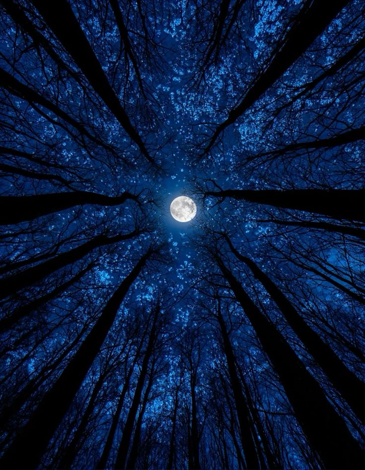 earth_moonw's tweet photo. https://t.co/xqjxZBTmSb