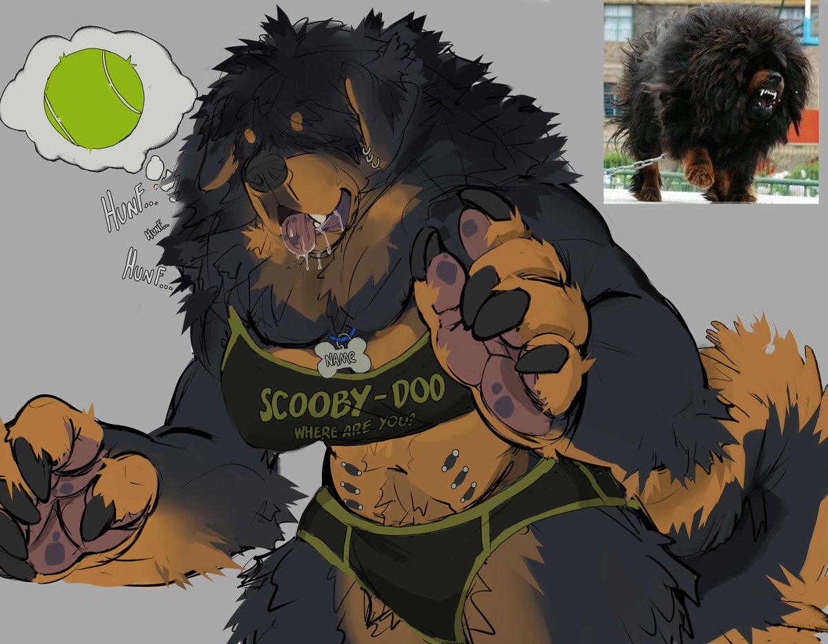CARVARIOR🔜 Brasil FurFest 2026 tweet media
