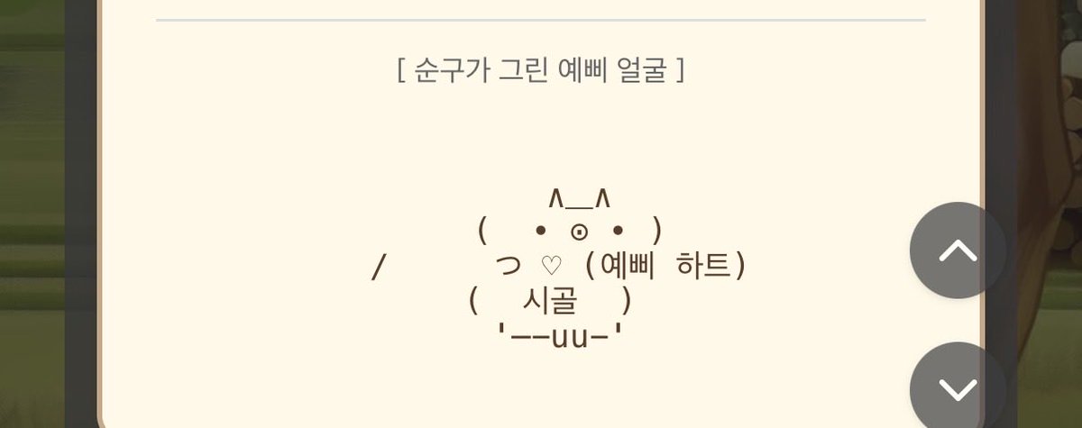뽀야라 tweet media