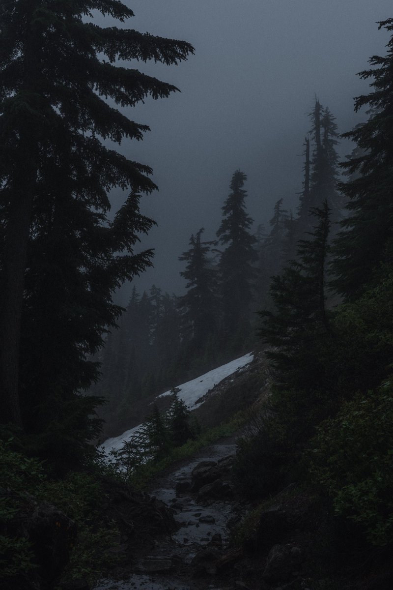 blodgrevinnen's tweet photo. eerie along the trail https://t.co/ZgrqxIpjza