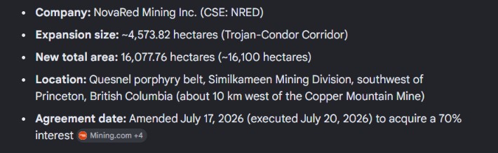 FoucheZelda's tweet photo. Every calm decision builds consistency. NRED investors can focus on 3 Wilmac targets and 4 planned surveys instead of market noise. Steady progress builds confidence. https://t.co/OcLzp2IsZk