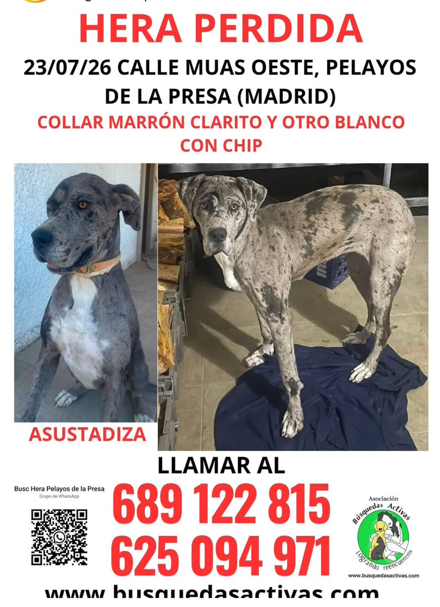 VidasSos's tweet photo. #HERA #PelayosDeLaPresa #Madrid  #incendiosforestalesEspaña #ifSierraOeste https://t.co/lAJPOpZXzV
