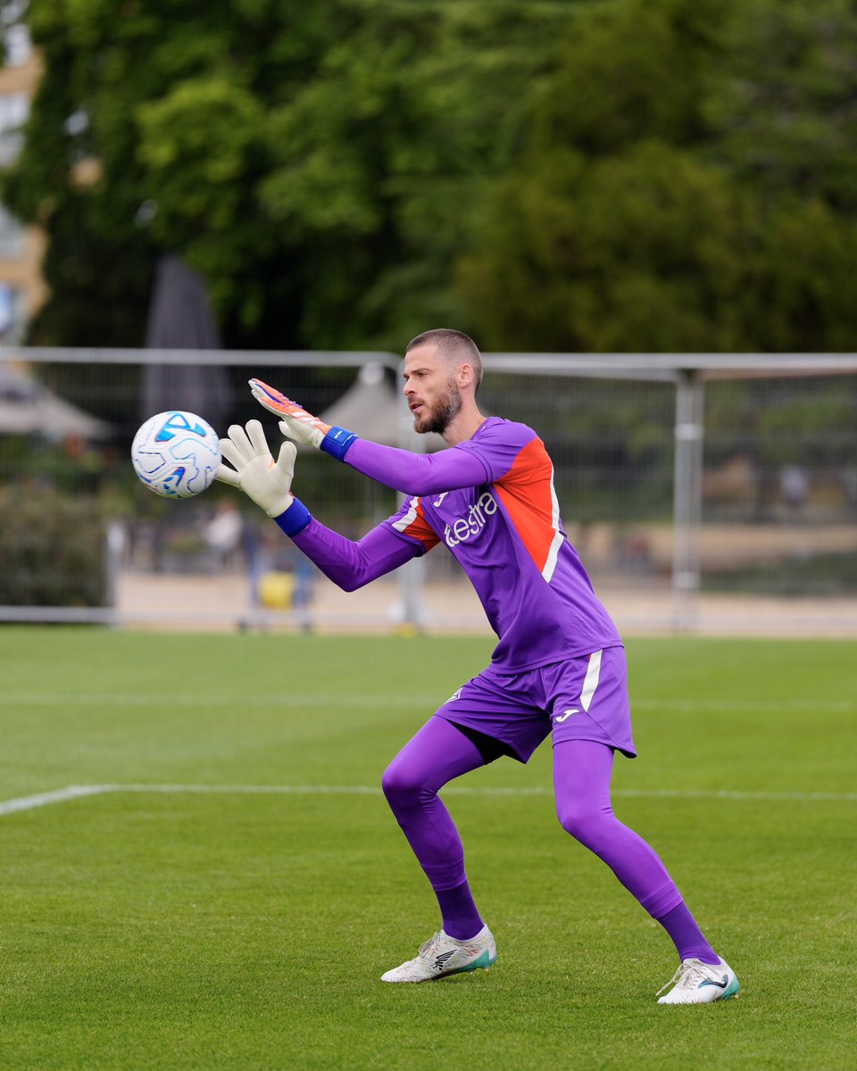 ACFFiorentinaEN's tweet photo. 📸💜⚜️ https://t.co/sUTKYwGuKr