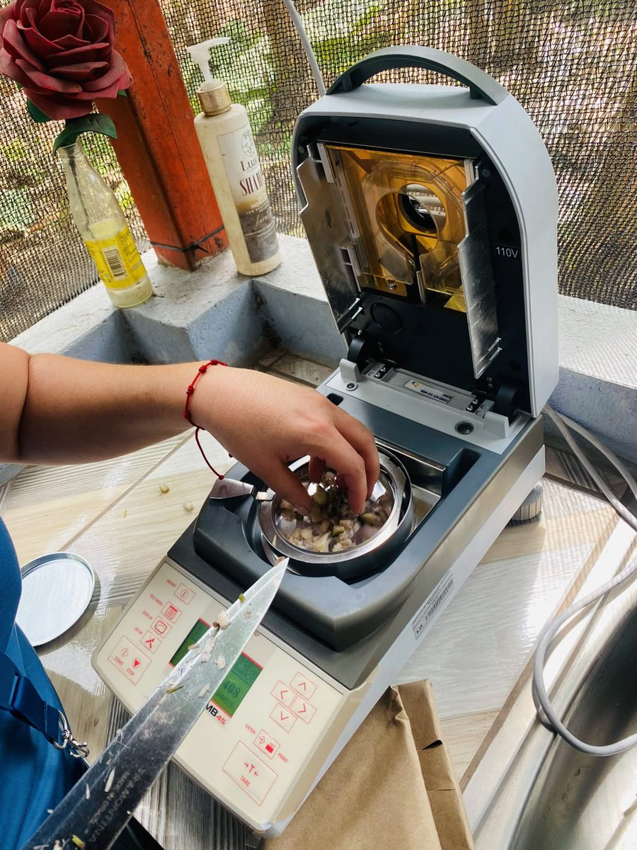 AgrobanEC's tweet photo. Innovando en energías limpias, #Agroban #LosChirijos junto con el Instituto de Investigación Geológico y Energético #IIGE @EcuadorMAE impulsando el proyecto “Evaluación de Biohidrógeno y su Integración en el Sistema Energético de Ecuador” a partir de raquis de banano 🍌 🔬 🌱 https://t.co/TPtC6xxWcO
