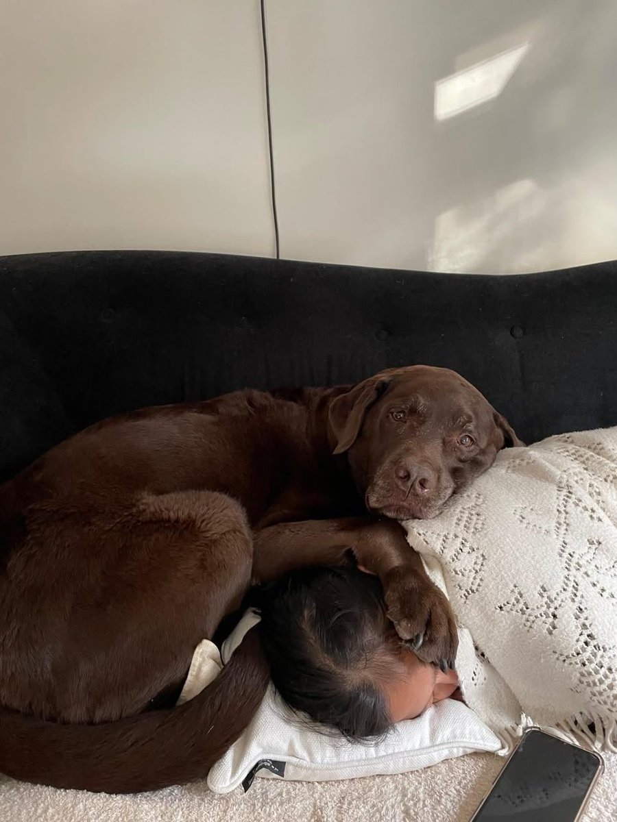 anissa02's tweet photo. Join my telegram channel for exclusive zoo content and daily livestream🔗

https://t.co/wkc51KtpEl

#beastiality #dogknot  #zoophile
#k9girl https://t.co/QNcs8GM4qn