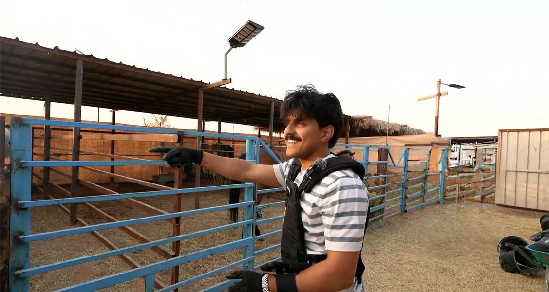 iHanoody8's tweet photo. 😄🐎 https://t.co/sl6qLmnuTi
