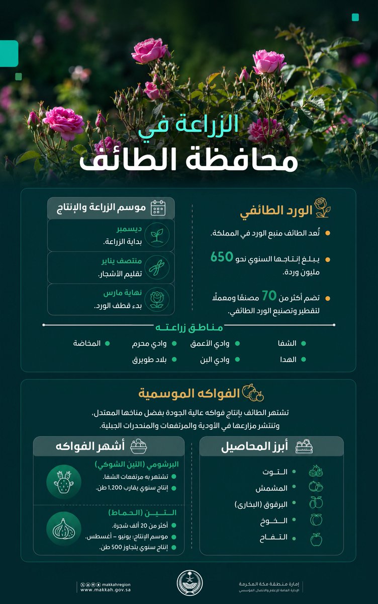 makkahregion's tweet photo. من الورد الطائفي إلى الفواكه الموسمية..
"الطائف" ترسّخ مكانتها كإحدى  المحافظات الزراعية البارزة https://t.co/z6JyNhSFeM