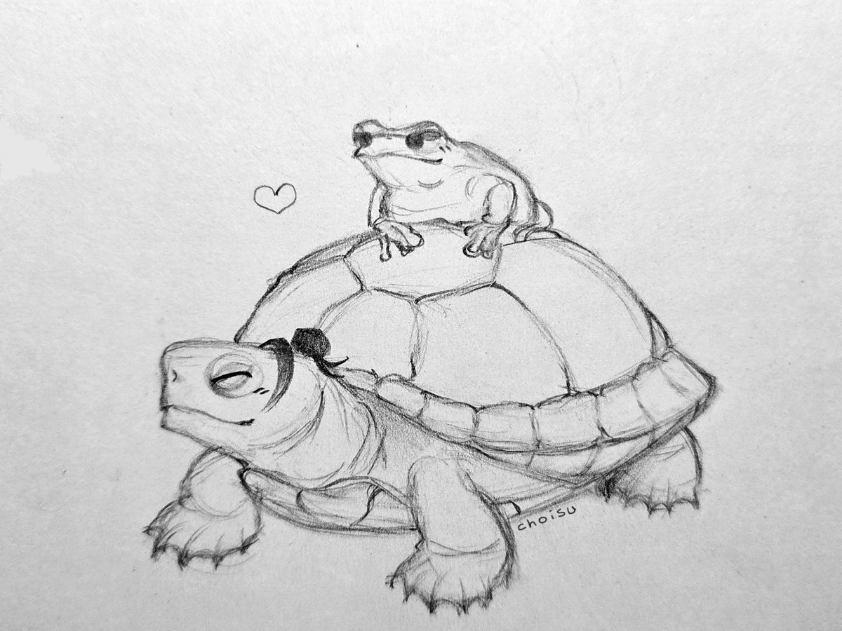 choisusss's tweet photo. Turtle Suguru (+frogjo, they are in love)

#五夏 #goge https://t.co/GcLwpGnqEA