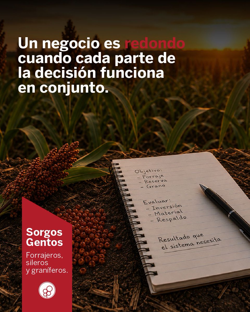 GentosUy's tweet photo. La elección de un híbrido no se define por una sola variable. La inversión, el objetivo productivo, la respuesta del sorgo y el respaldo durante la campaña deben evaluarse como partes de una misma decisión.

Un negocio es redondo cuando cada parte funciona en conjunto. https://t.co/mI15feZt7Q