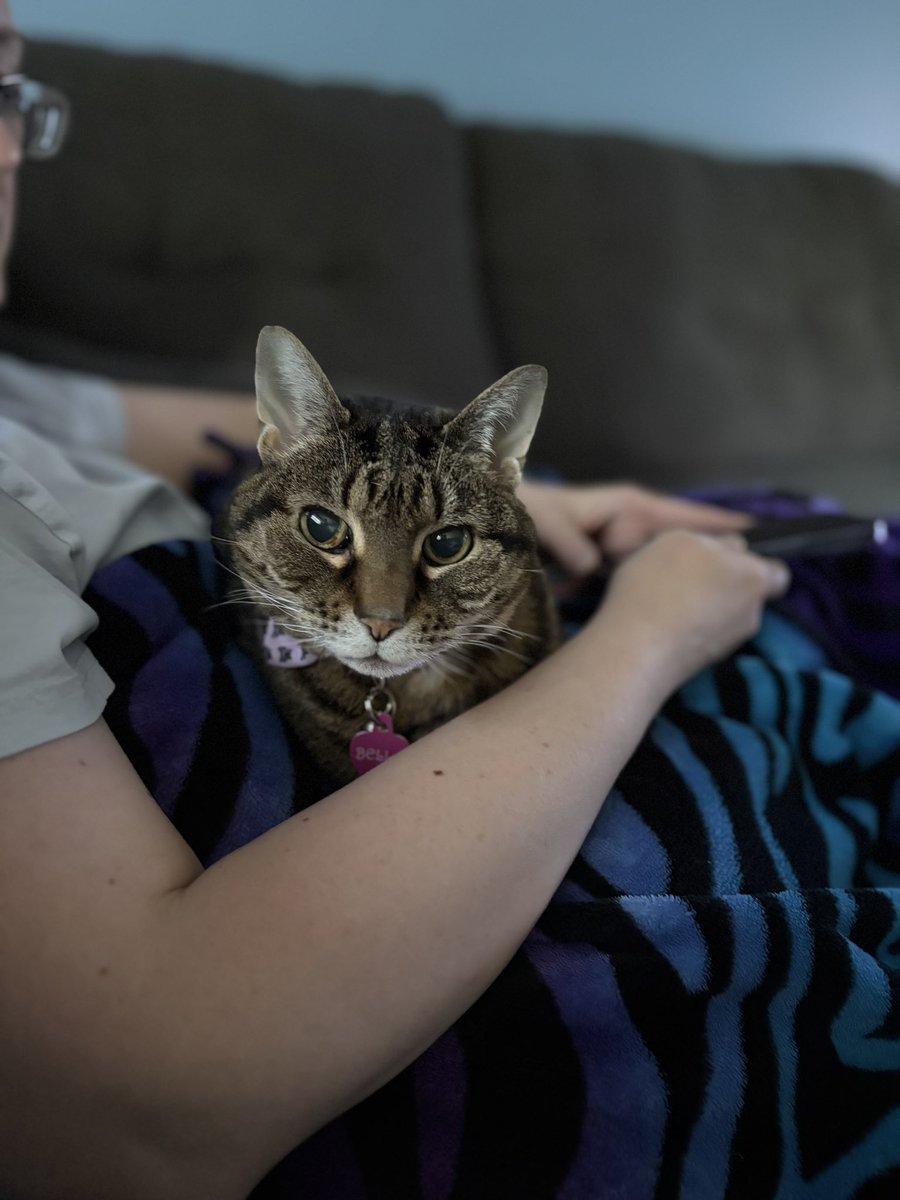 MykeM25's tweet photo. @Brettdasovic Iโm running out of photos of pets without any humans in them. Yet we must all make our sacrifices for the queue of the day. Laika tucking in her โpupโ, Ethan. And a rare acknowledgment that Bella the cat is sometimes cool. For a cat. #pccpets
(you can show Ethan itโs OK) https://t.co/kDpJlGok04