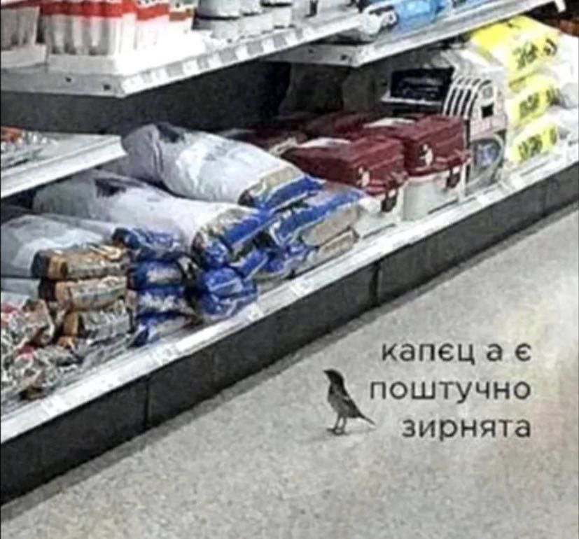 bez_kryl's tweet photo. Надихнулась легендою https://t.co/o34Ey56qjL