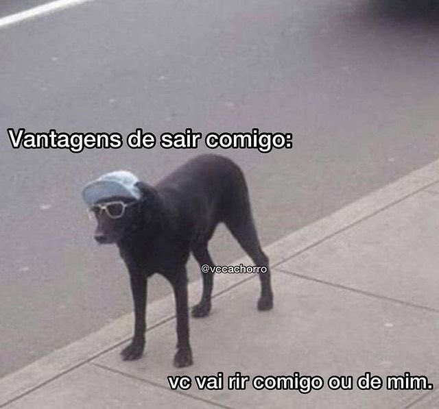 shitpostverdade's tweet photo. https://t.co/BOKmcxpedn
