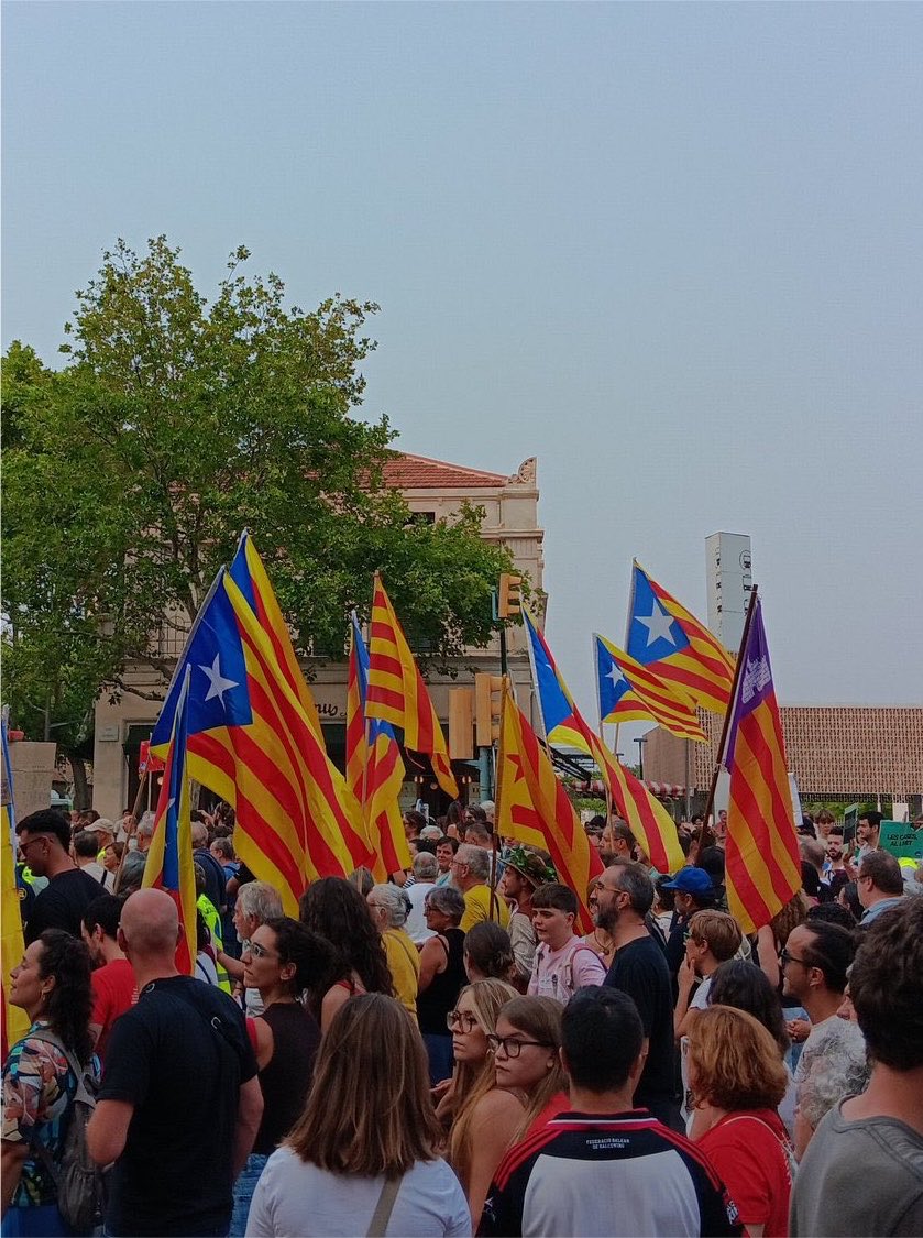 xisco_brownie's tweet photo. Qualcuns encara se demanen el perquè de tanta ràbia de la policia ahir a la manifestació de Palma. 
Si voleu, vos faig un croquis... https://t.co/zlOaPGr48Q