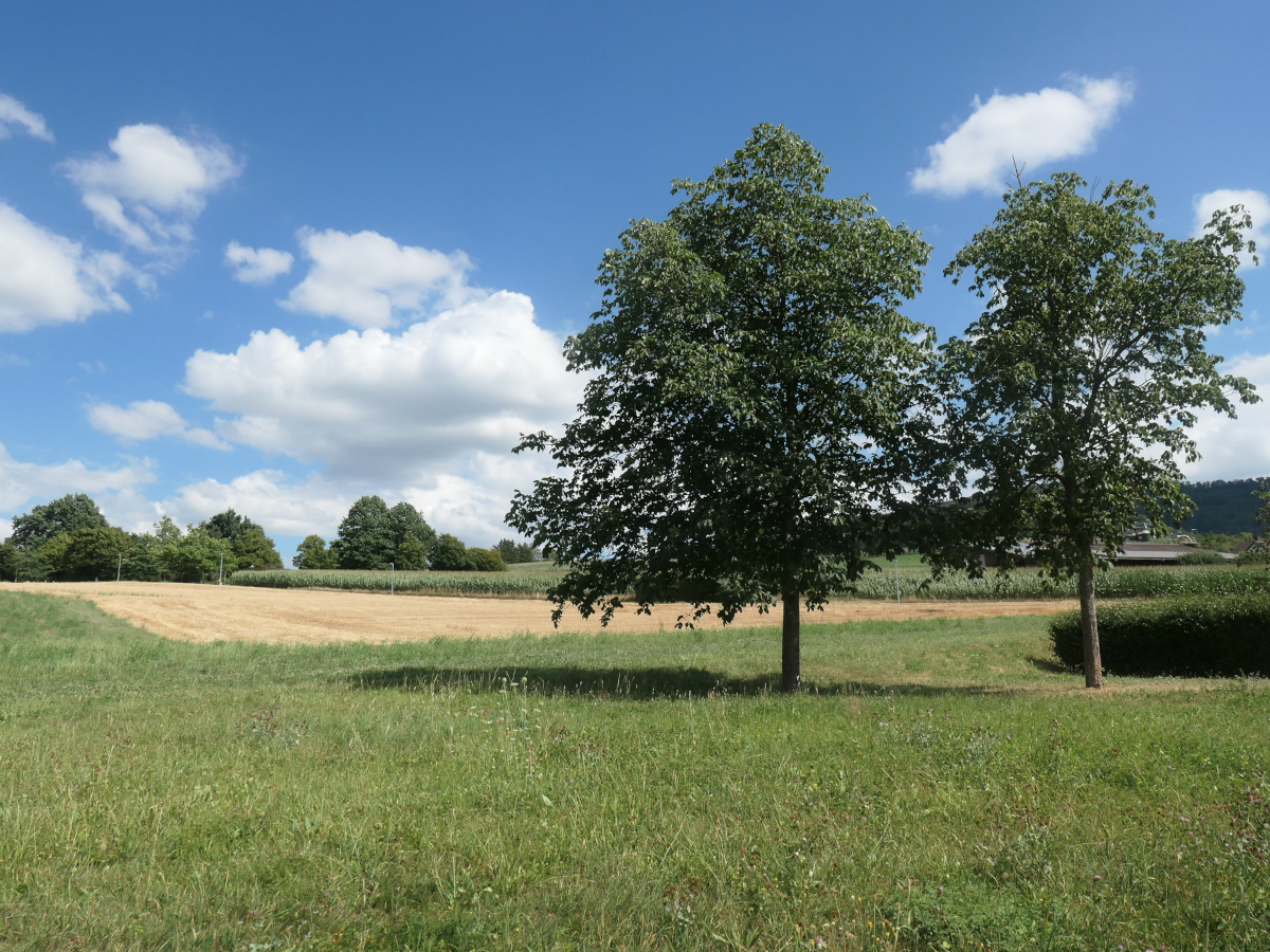 Baikal007's tweet photo. ☕️🍰️🌤️23°C #️⃣️3️⃣️6️⃣️6️⃣️
Wie immer an einem Arbeitsmontag, das Nachmittagspausen•Foto. #montagnachmittagspause #Fotomontag https://t.co/W92JCUxhYJ
