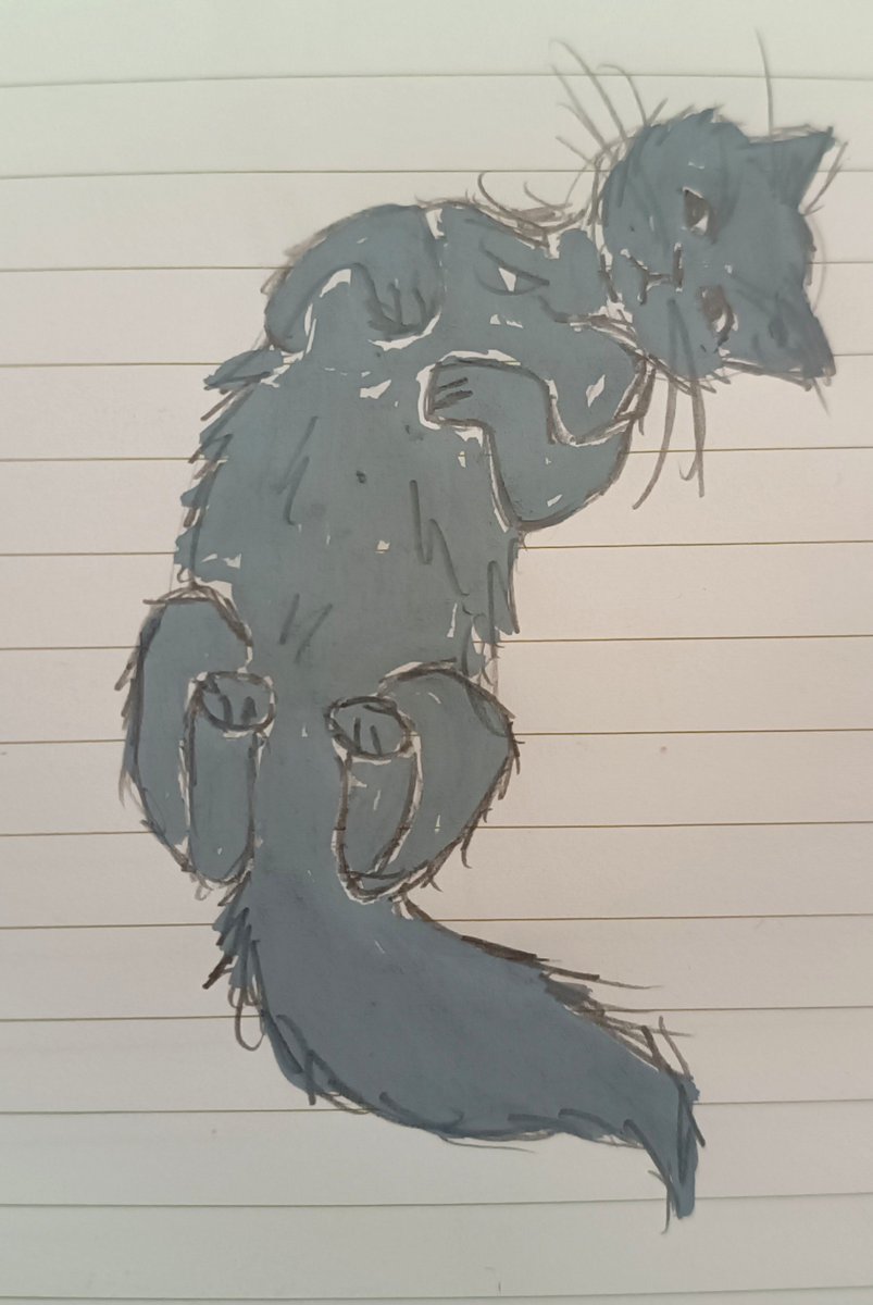 TsumiBtw's tweet photo. Studying cats while working because.... Why not? It's cute and fluffy https://t.co/6oXygRCGXp