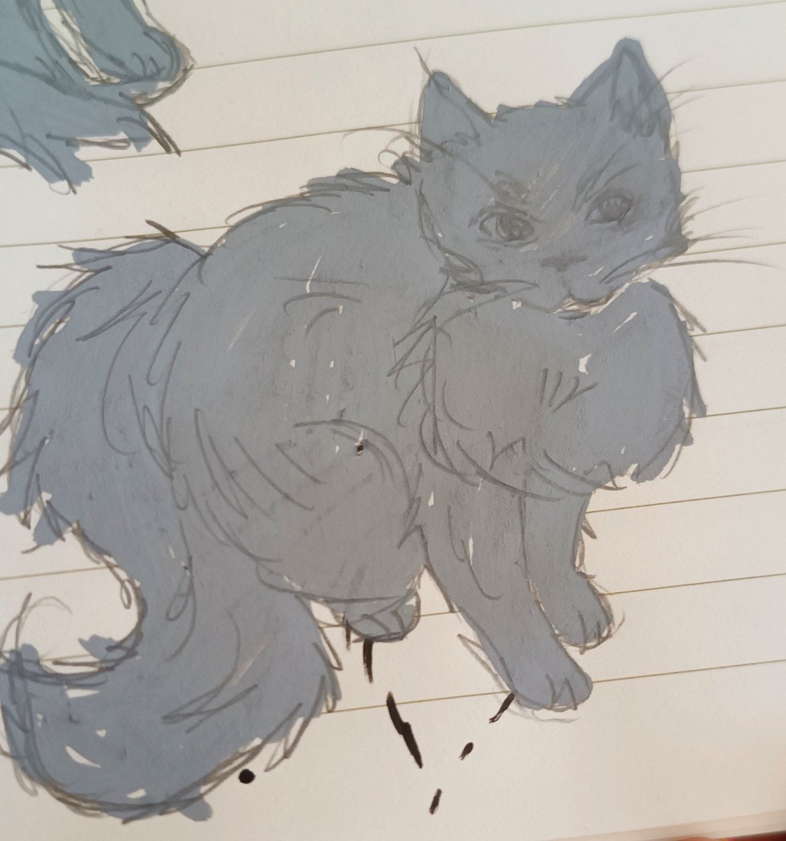 TsumiBtw's tweet photo. Studying cats while working because.... Why not? It's cute and fluffy https://t.co/6oXygRCGXp