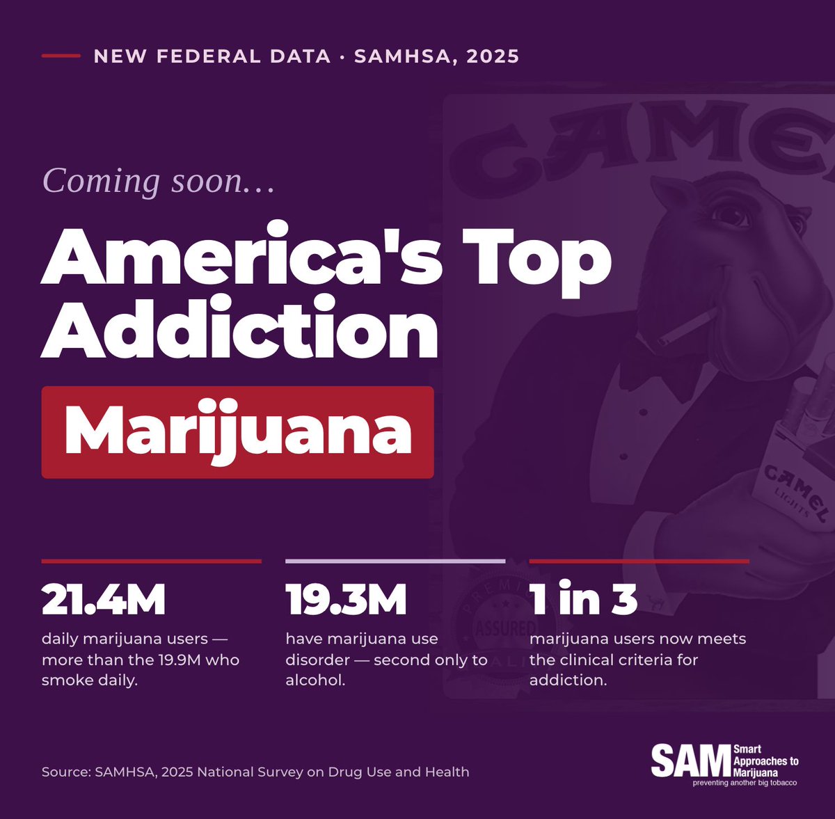 Smart Approaches to Marijuana tweet media