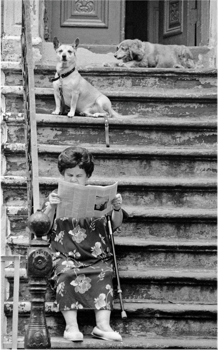 culture2301's tweet photo. #HereForCulture 🎀 #Digital_Library #Photo
Bonne semaine à tous ☕️ 📰
St Marks Place, NY 🗽USA 1988
Photo de Matt Weber https://t.co/LM4NGMhovv