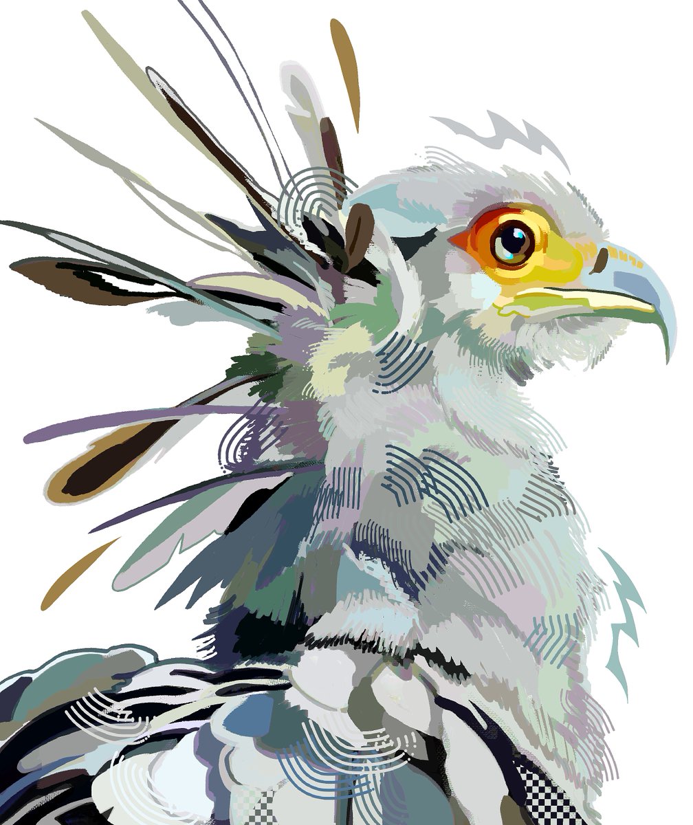 tierrList's tweet photo. secretary bird study https://t.co/XoTJWiqtPC