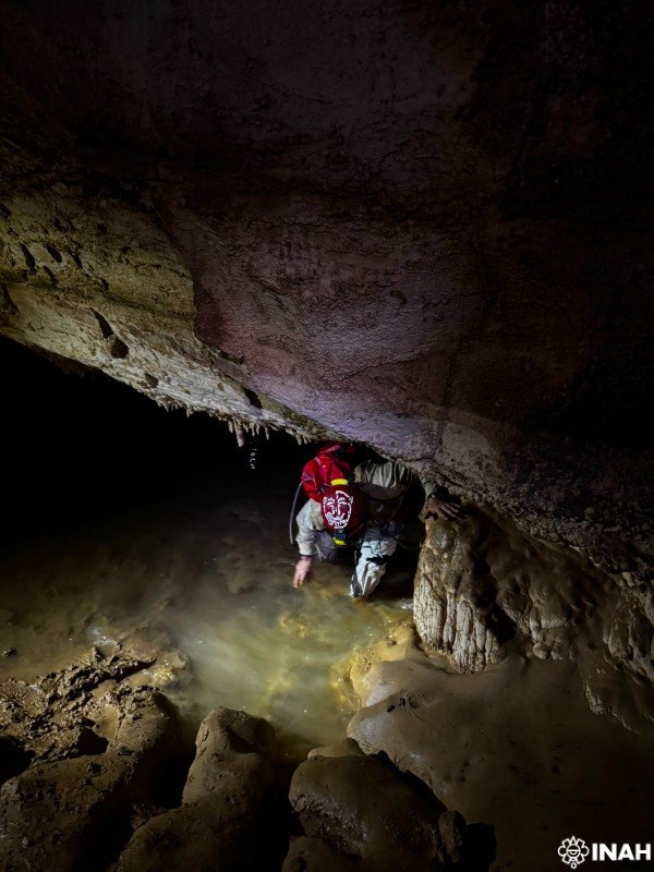 INAHmx's tweet photo. #ÚLTIMAHORA 🚨 El INAH registra 179 piezas arqueológicas en una cueva de Cintalapa, Chiapas

• Denominada Mundo Zoque, esta formación de más de 100 metros de largo, albergaba urnas, cajetes y sahumadores con figuras humanas y de animales

Descubre más: https://t.co/P408PHbRaL https://t.co/nkPFRzoUqU