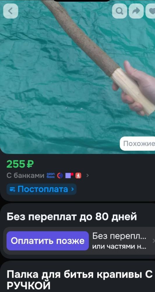 Рыбка tweet media
