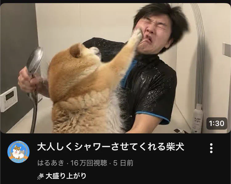 kuri on X: 