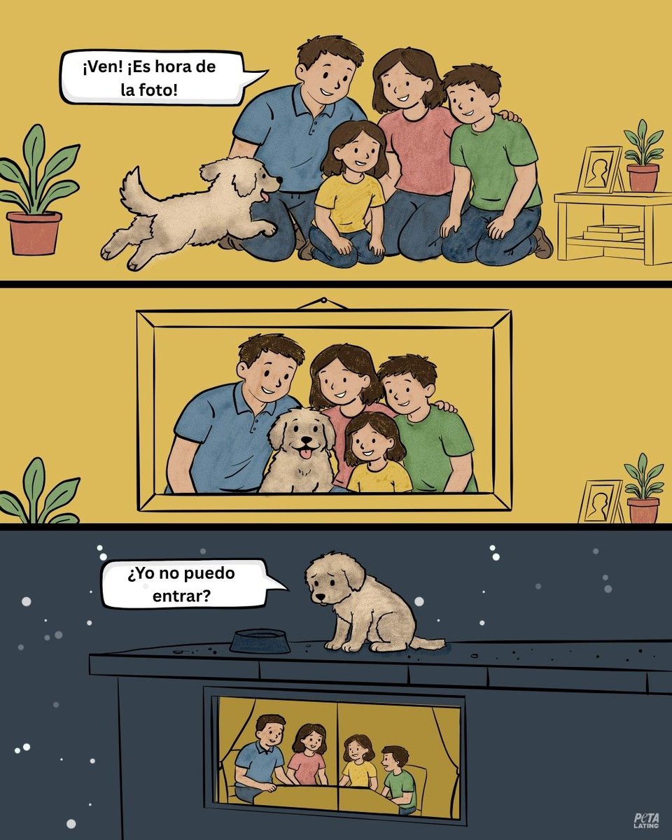 PETA_Latino's tweet photo. Después de la foto, todos se quedaron en la casa. Él no.
Ningún perro debería pasar sus días y noches en una azotea. Déjalo vivir dentro de casa, donde está protegido del calor, la lluvia y el frío. https://t.co/1ODad8iVYZ