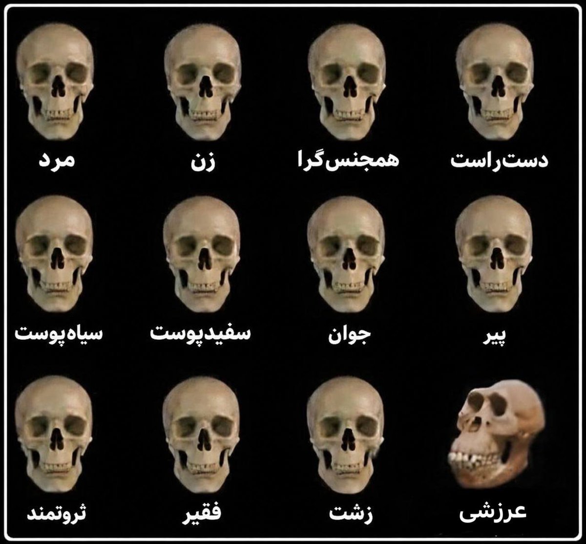 cyrus_shah_'s tweet photo. 😎 https://t.co/VbcAoVlJTM