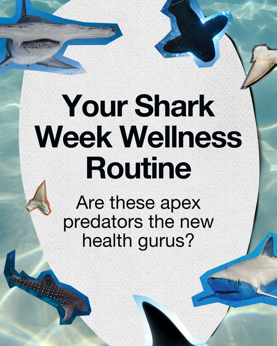 MetroPlusHealth's tweet photo. 🦈🎉 Happy Shark Week! Could these ancient predators teach us a thing or two about wellness? What’s your favorite shark? Ours is the hammerhead, but the goblin shark is a close second. 🌊 #SharkWeek https://t.co/KL30cVZJIn