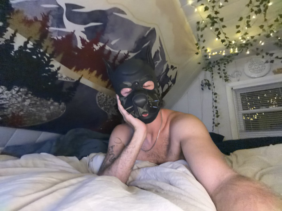 PupBooneXX's tweet photo. This king bed has sooo much room 😈 #tightywhities #briefs #gaypuppy #gaypup #gaypuppyplay https://t.co/IlFygzIIXq