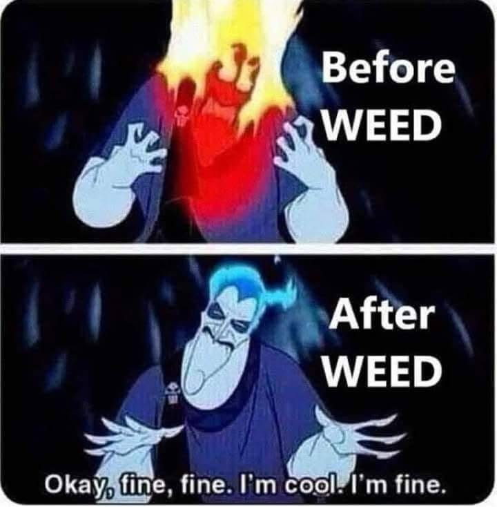 SJsMemes420's tweet photo. https://t.co/aSCxTwSy1n