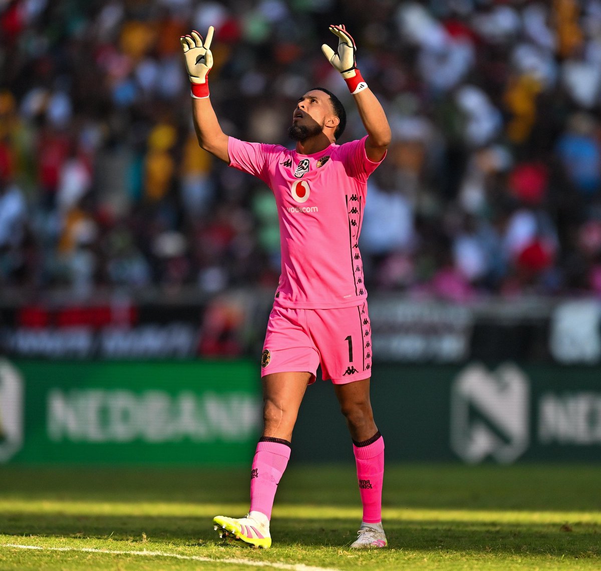Lerutla_shelton's tweet photo. Brandon Petersen was robbed off the world cup spot and now they are robbing him of the best goalkeeper award 😭😭😭 
#PSLAwards https://t.co/sZmeAitdVm