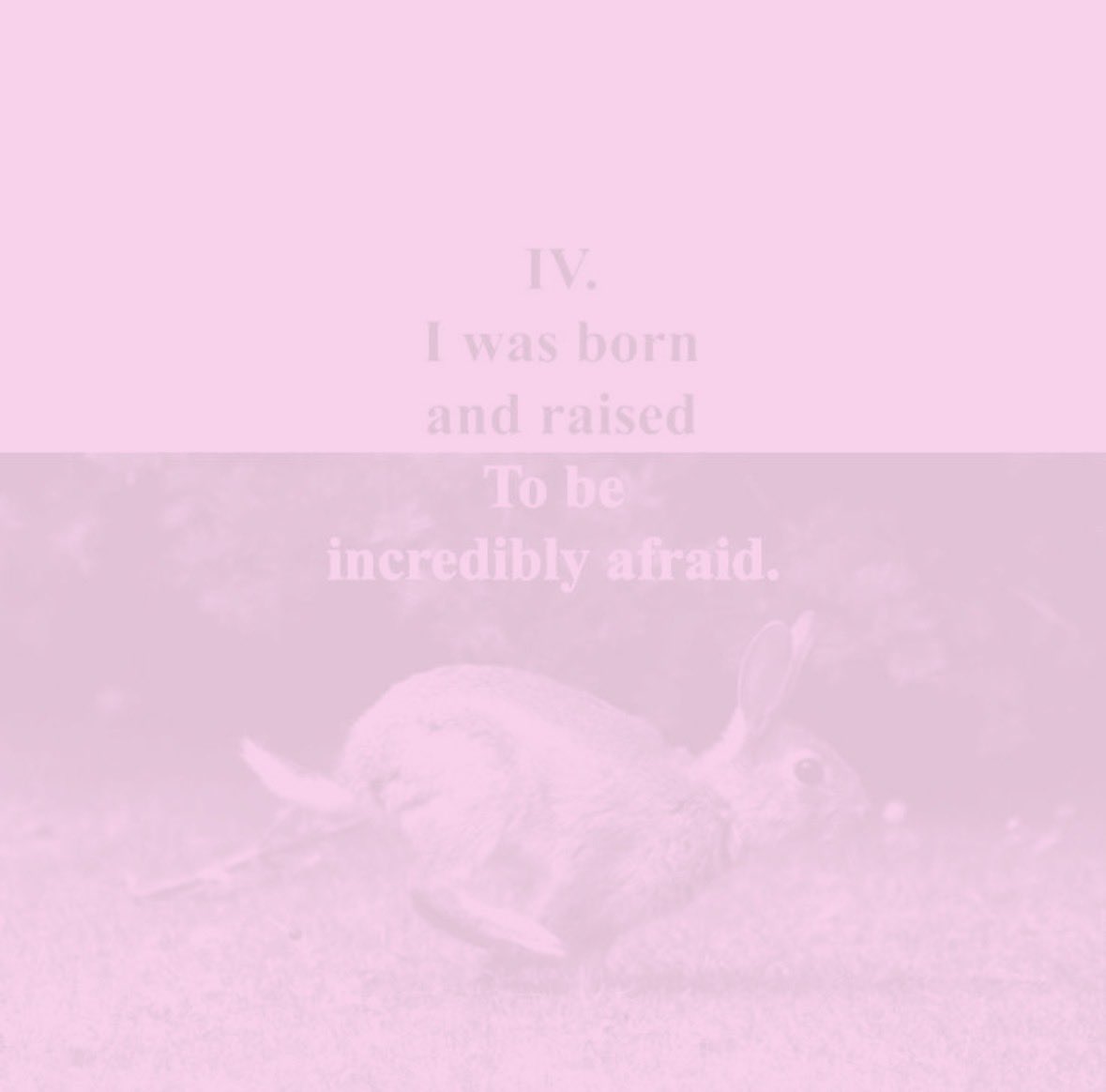 sickkidgf's tweet photo. (っ◔◡◔)っ ~finally making one of these ♡

new(ish)!!

ash • lil bit • bunny 
22 • she/her • mdni ! ࣪ ִֶָ☾.
abuse + no limit kinks ࣪ ִֶָ☾.
hard sub + masochist ࣪ ִֶָ☾.

be nice to me or i’ll cry ♡

♡︎/⟳ if u wanna be moots ₍ᐢ. .ᐢ₎
#nsfw #cnc #nsfwtwtًً https://t.co/NB0CkK5mWN