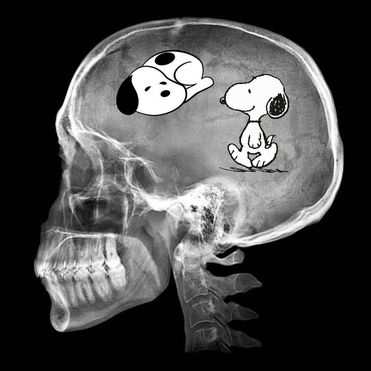 snoopy tweet media