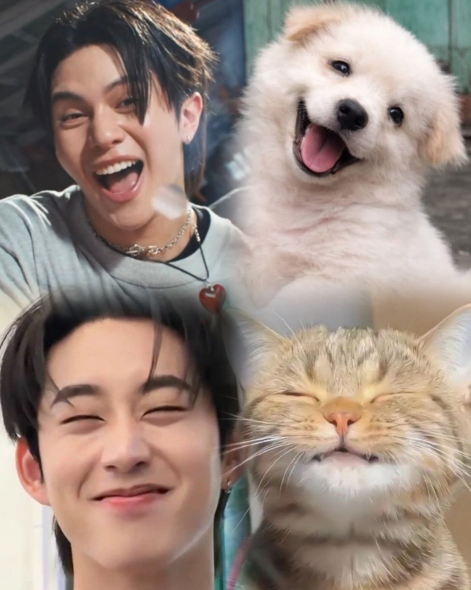 uaiwilliamest's tweet photo. Não vejo diferenças. 🐶🐱 https://t.co/XX0LgQDRcy