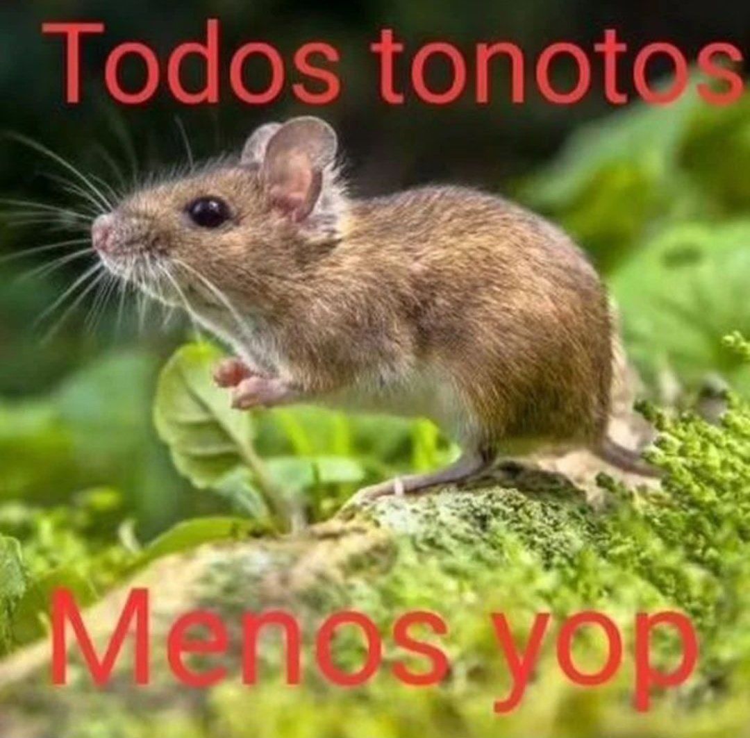 wikipistacho's tweet photo. https://t.co/jxl3KeZZ2N