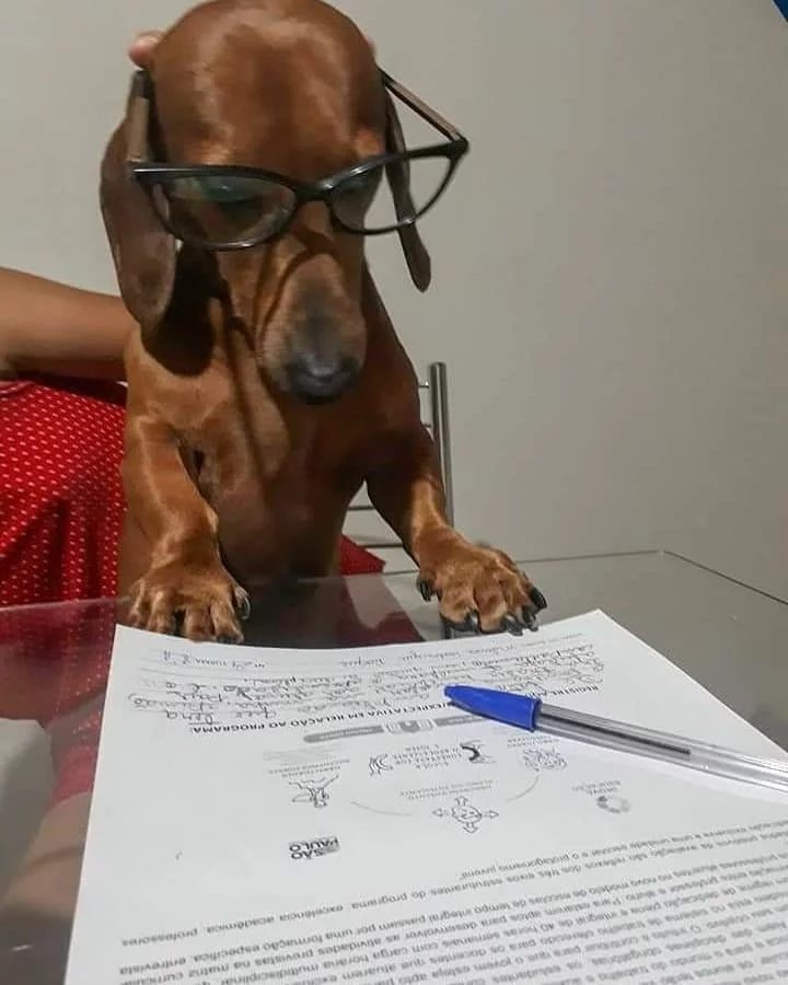 _malizy's tweet photo. Irmão, deixa eu estudar. DEPOIS EU RESPONDO VC AMIGO https://t.co/DqUXGrkOC8