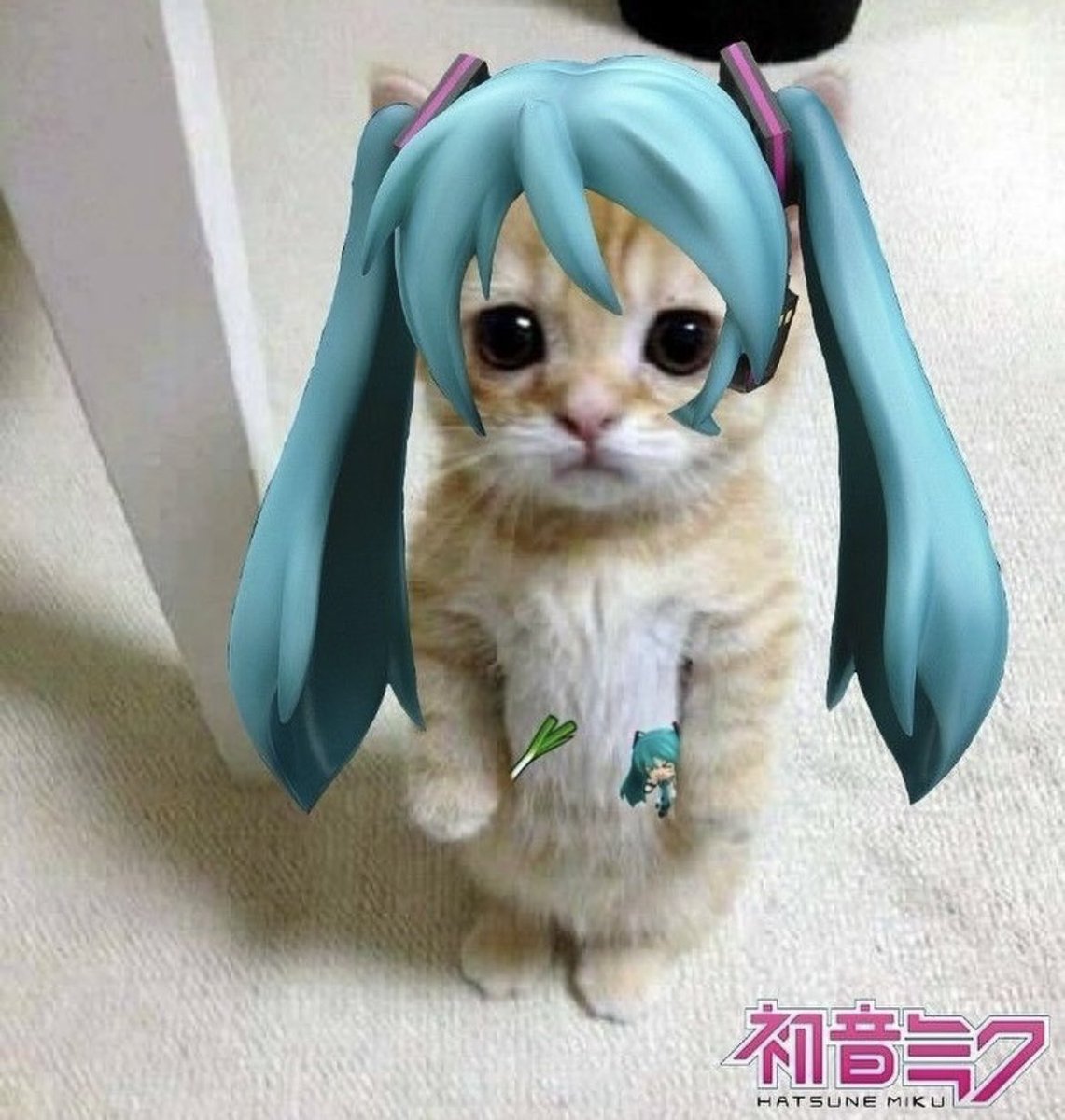 HatsuneMiku's tweet photo. https://t.co/mswbSBImix