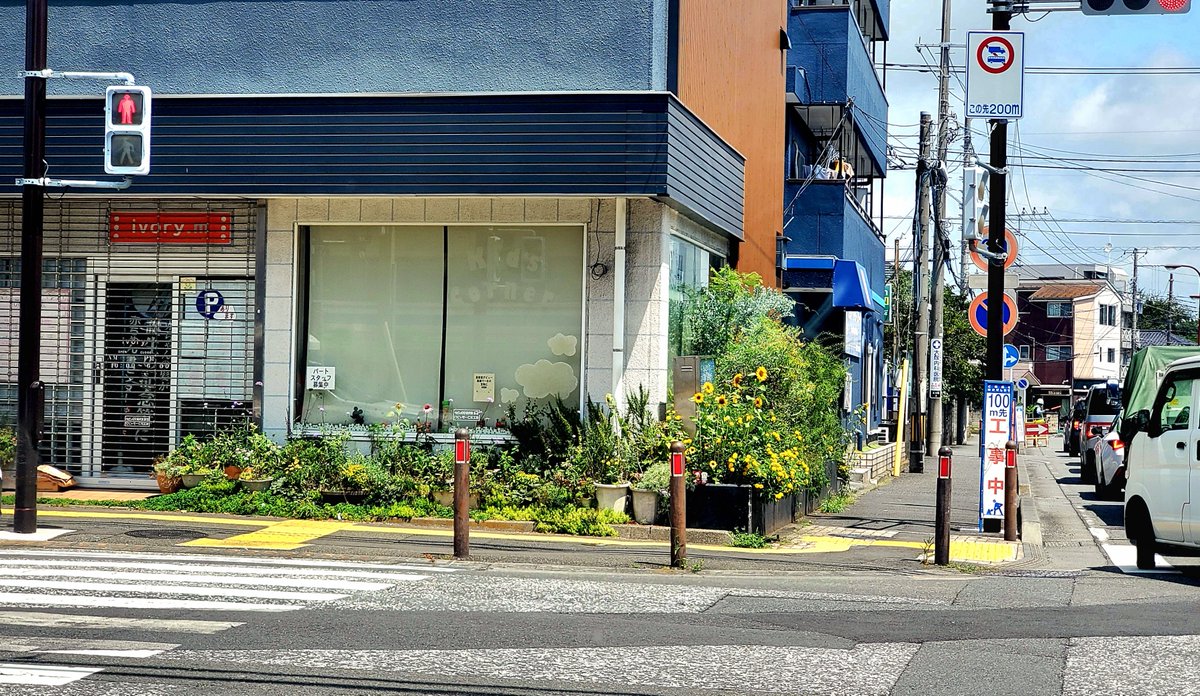 ivorym_'s tweet photo. 2,000粒以上の
ひまわりの種を蒔きましたが
予想外の夏の花壇に…
これから？
…それとも…😆

珍しい白い色のひまわりも咲く予定…
【夏休みのお知らせ】
今週末から8/5(水)まで
夏休みいただきます🍉
　ご利用予定のお客様には
大変ご迷惑おかけしてしまいますが
よろしくお願い致します🙇
#ひまわり https://t.co/04ihzp0DBk