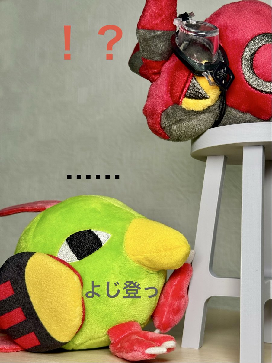 samenamida22's tweet photo. おはようございます😊

何やらこちらでは初めての会合が、なんだか不穏な感じに…？

普通に行け！にじり寄るな！
フシデもビビらなくて大丈夫だから！

#ポケモンfitのある暮らし
#ポケモンfit
#ぬい活 https://t.co/7x1AsURObY