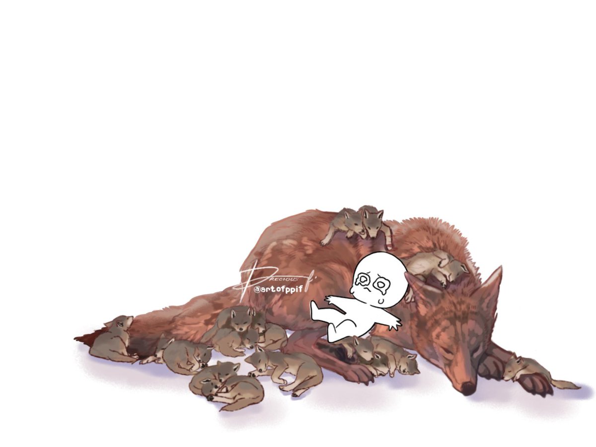 ArtofPPIF's tweet photo. When #Valko finally comes home and I can meet all the puppers 😭

#BringValkoBack #BringBackValko #ValkoIsLoved https://t.co/KbTr2sFY2m