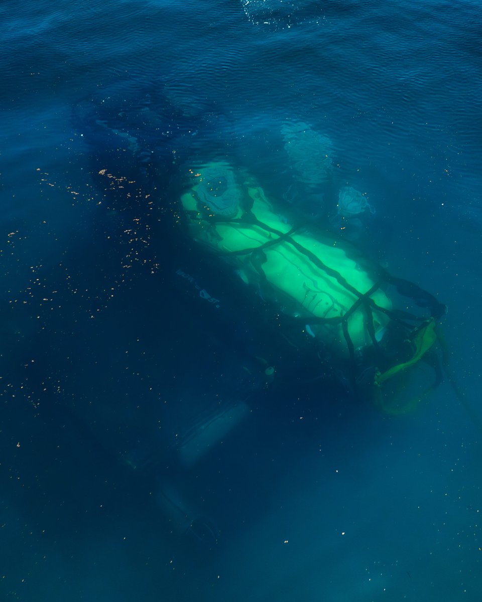 DeepEngineered's tweet photo. The journey down to Vanguard.

At Tennessee Reef, a yellow support buoy sits on the surface. It supplies air, communication, and other life support needs to the crews that will soon be living inside Vanguard. 

#DEEP #OceanExploration #Vanguard https://t.co/yiIZ8gA0S3