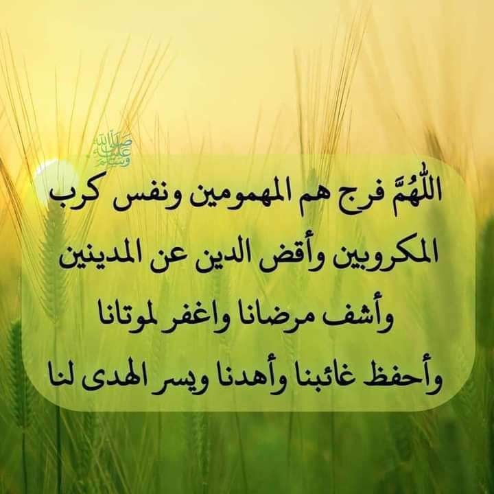 MarvtRezk's tweet photo. اللهم آمين يارب العالمين 💚
وصلى وسلم وبارك على سيدنا محمد وعلى آله وصحبه وسلم تسليما كثيرا 📿🥀🌿💚🥀🌿💚 https://t.co/FQikO3Q6xO